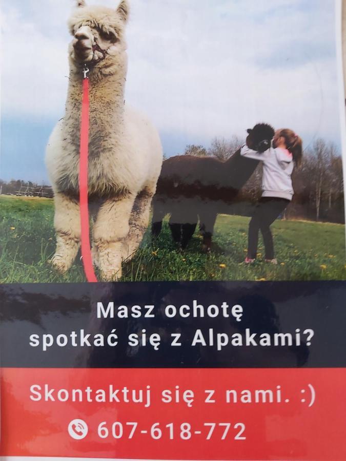 Apartamenty Smaczek Gołdap Eksteriør bilde